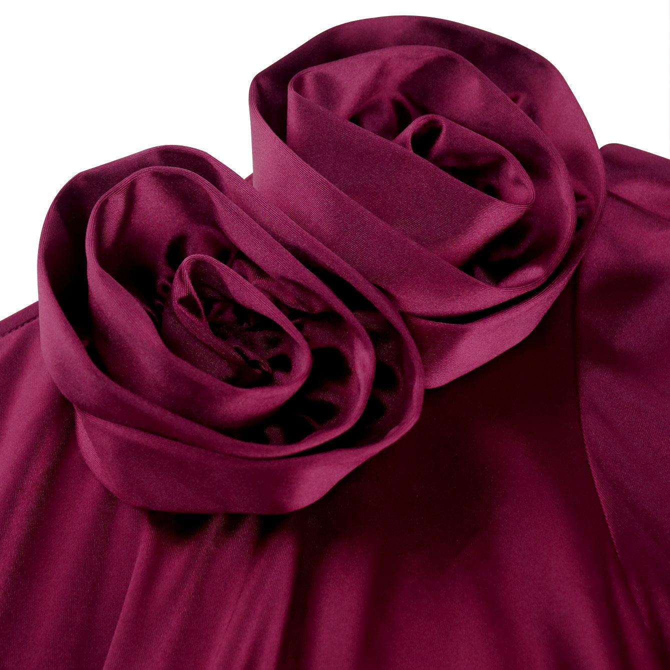 Robe magnifique cintrée avec des appliqués floraux décoratifs Mirla