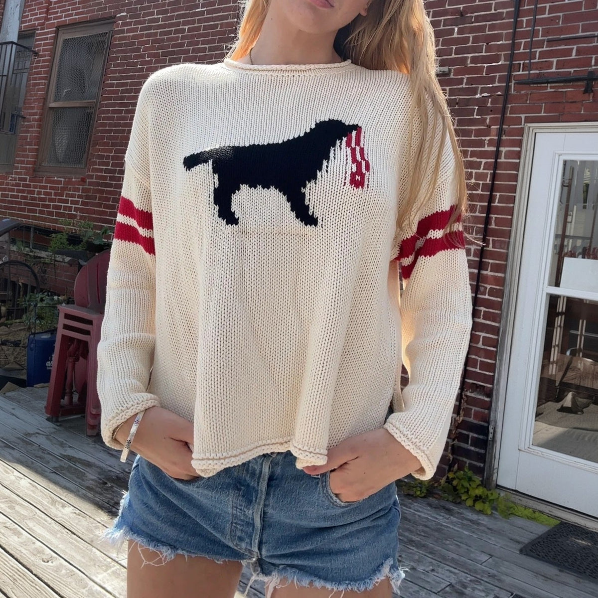 Pull à mailles larges pour femmes avec jacquard de chien et rayures sportives Echoarchiv