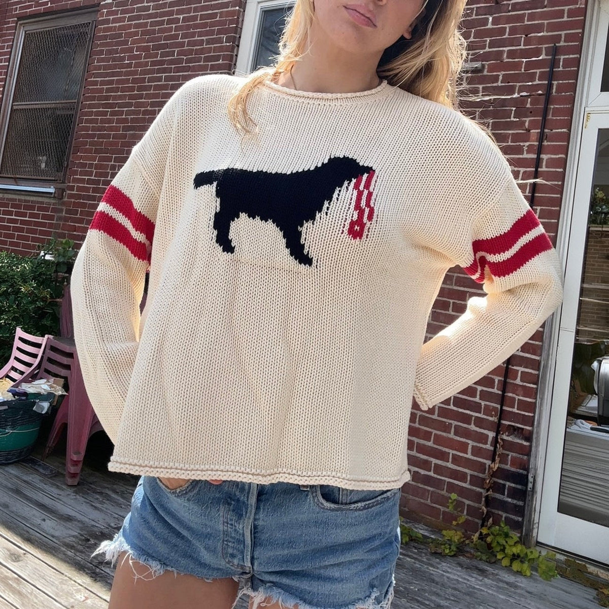 Pull à mailles larges pour femmes avec jacquard de chien et rayures sportives Echoarchiv