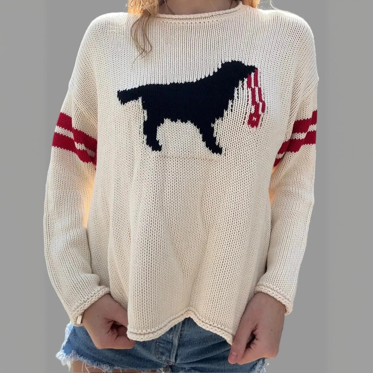 Pull à mailles larges pour femmes avec jacquard de chien et rayures sportives Echoarchiv