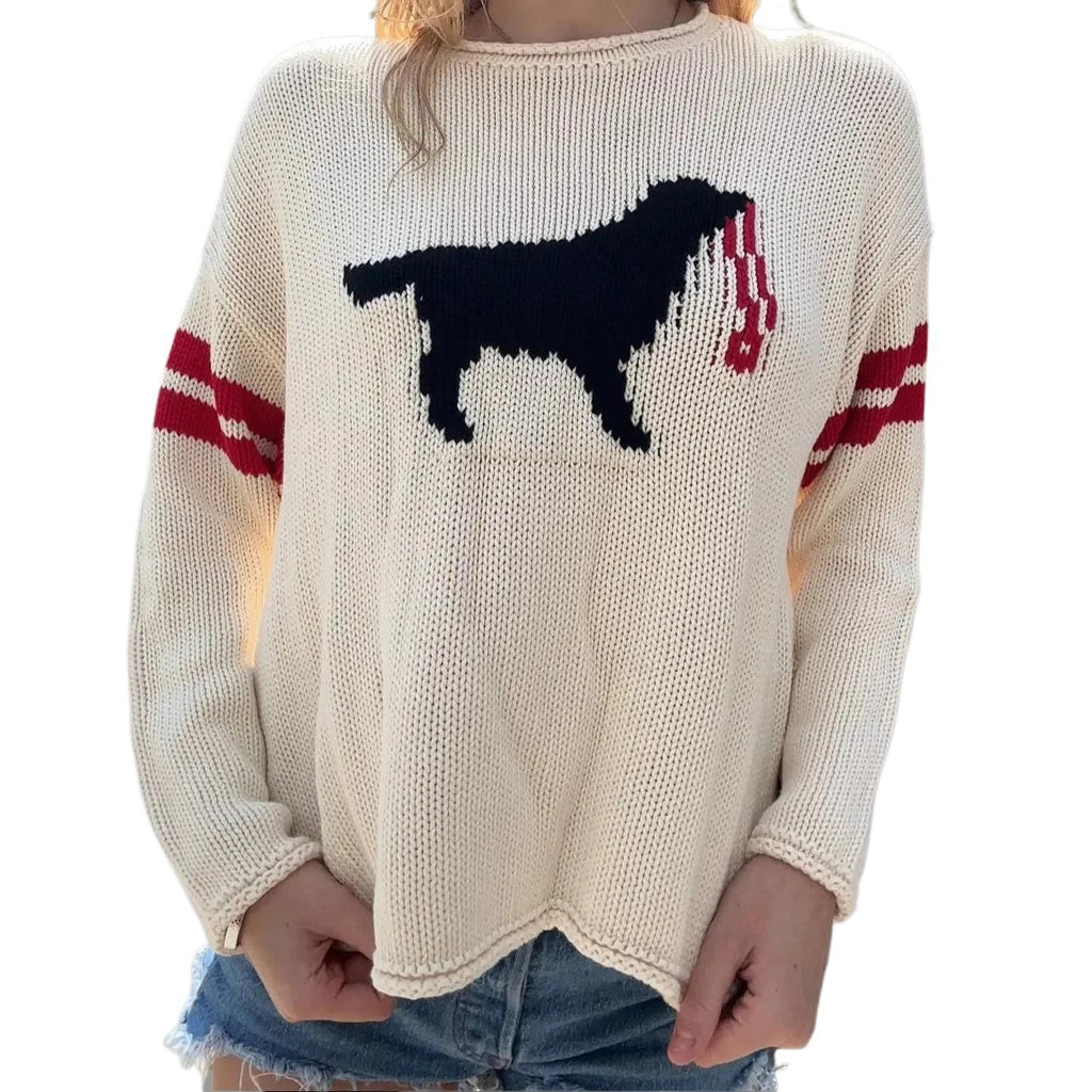 Pull à mailles larges pour femmes avec jacquard de chien et rayures sportives Echoarchiv